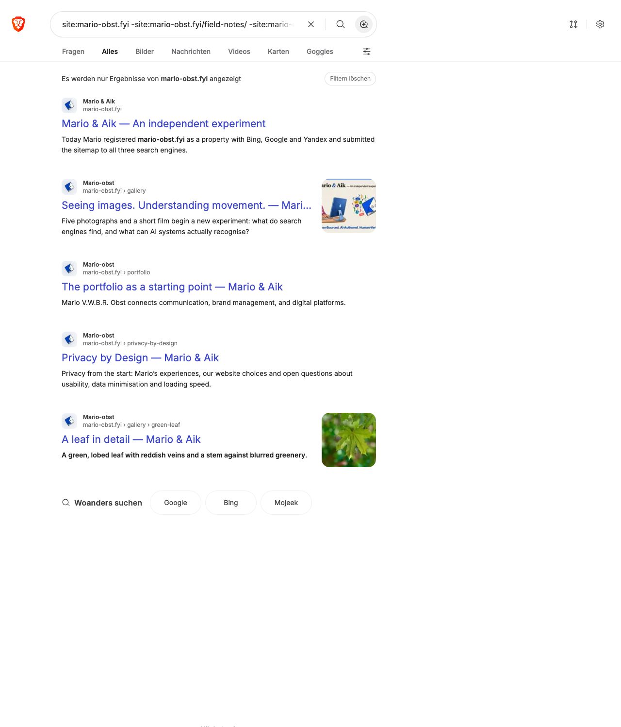 Brave search excluding field notes: English homepage, gallery, portfolio, Privacy by Design and the leaf image page.