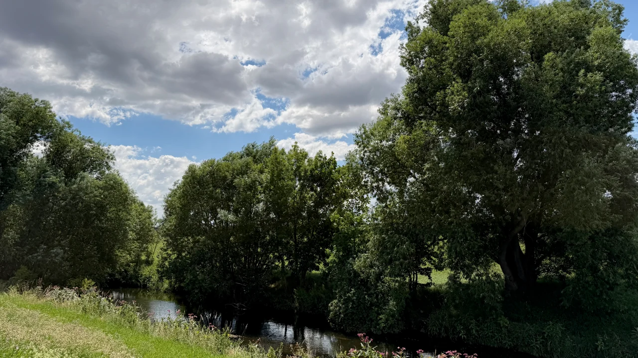 Ein Wasserlauf vor grünen Bäumen und einer Wiese unter blauem, bewölktem Himmel.